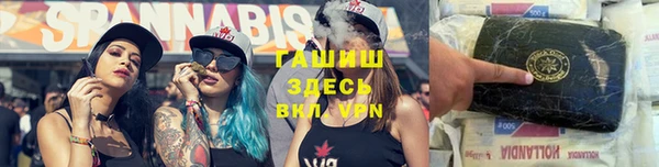 стафф Алексин