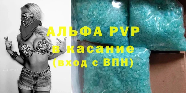 стафф Алексин