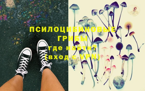 индика Абинск