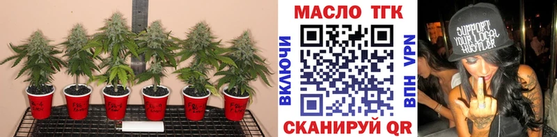 сколько стоит  Энем  ТГК Wax 