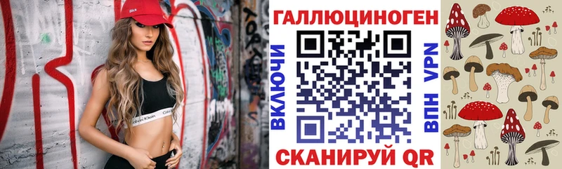 кракен ссылки  Энем  Галлюциногенные грибы Psilocybine cubensis  хочу  